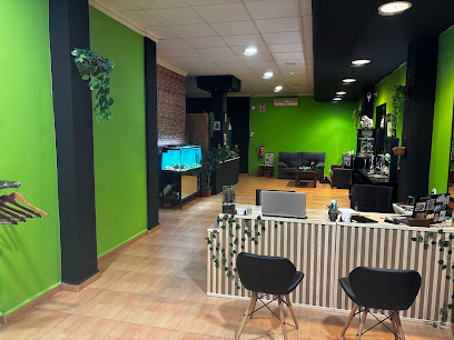 Aguja Verde Tattoo