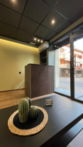 Black Cactus Studio