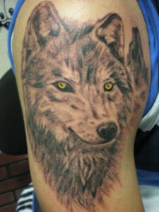 Gattoo Studio