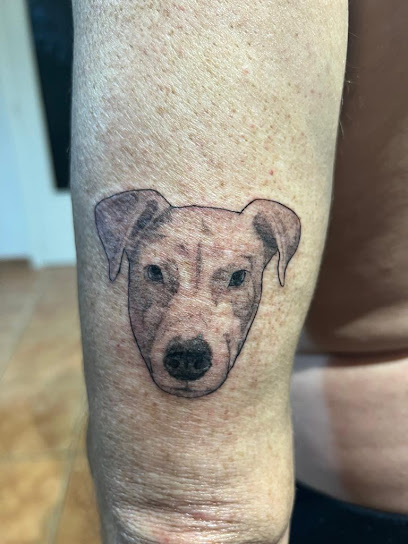 Tattoo Estudio By Alfresco