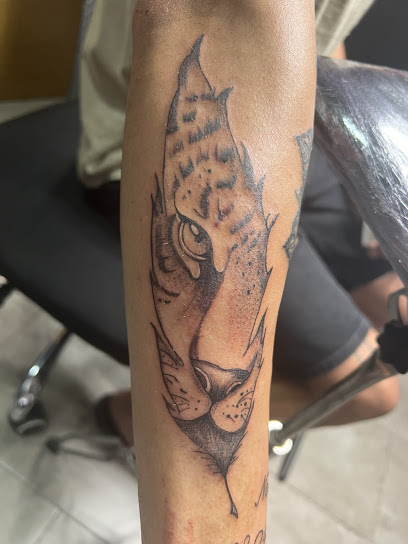 Universo Tattoo